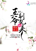 萌妃在上：王爷，别乱来