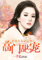 高门甜宠：老婆大人请息怒