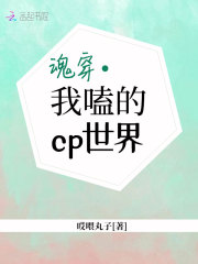 魂穿我嗑的cp世界