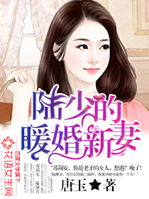 陆少的暖婚新妻