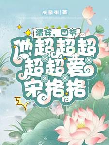清穿,四爷他超超超超超爱宋格格