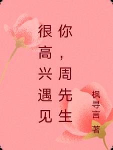 很高兴遇见你,周先生